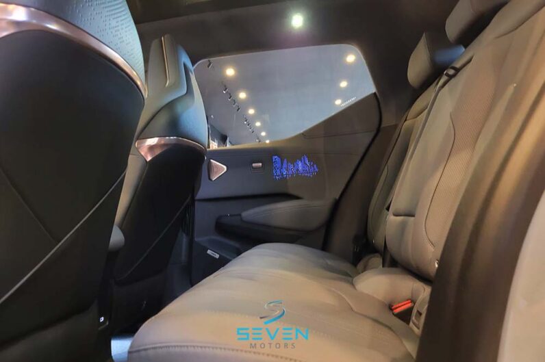 ZEEKR X 66 KW ELÉTRICO PREMIUM
